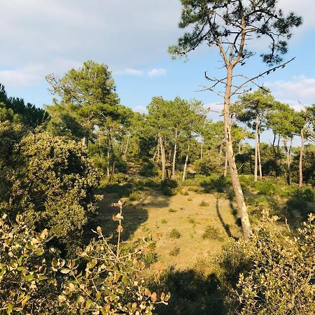 Standing, Luminosite A 100M De La Mer, T3 Prestige Saint-Hilaire-de-Riez Kültér fotó